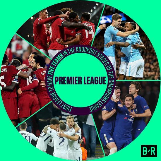 马丁内利形 马丁内利形