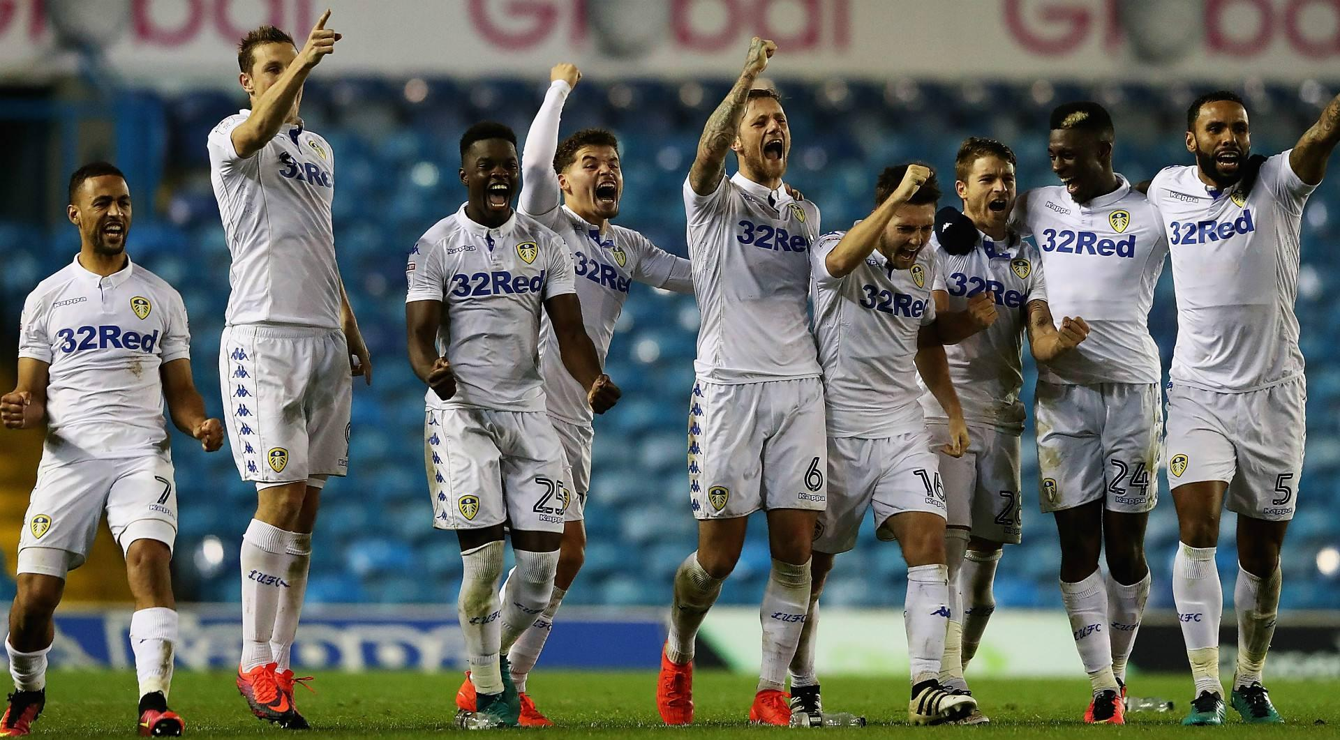 布好三角草 布好三角草