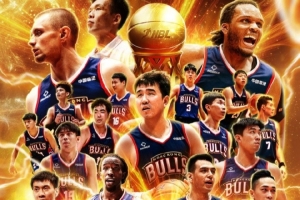 拼图中不可 拼图中不可